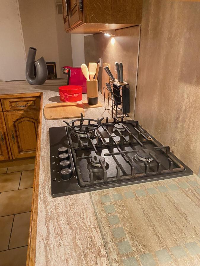 Appartement « Chez Falco » Vue Sur Le Chateau Schirmeck Exteriör bild