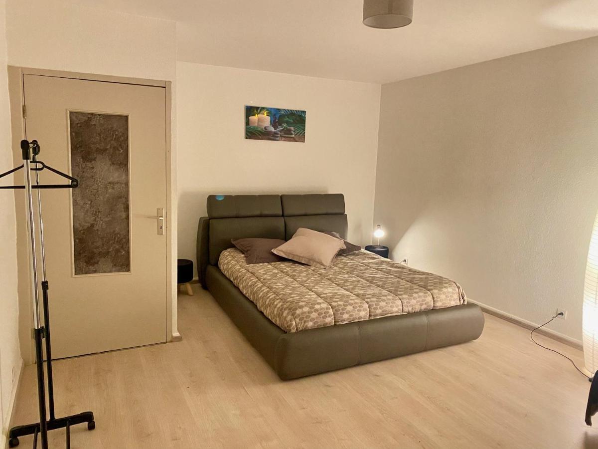 Appartement « Chez Falco » Vue Sur Le Chateau Schirmeck Exteriör bild